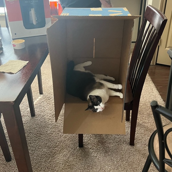 Hai I’m Beckylee :) - Picture 2 of 3